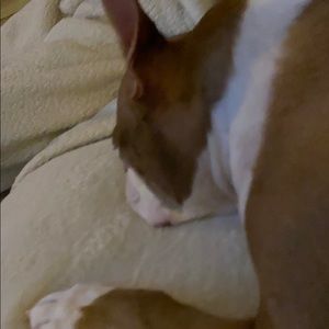 Meet your Posher, Sean